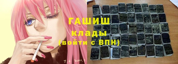 дурь Грязовец