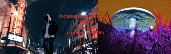 МДПВ Покровск