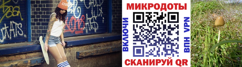 как найти закладки  Ухта  KRAKEN маркетплейс  Псилоцибиновые грибы мицелий 