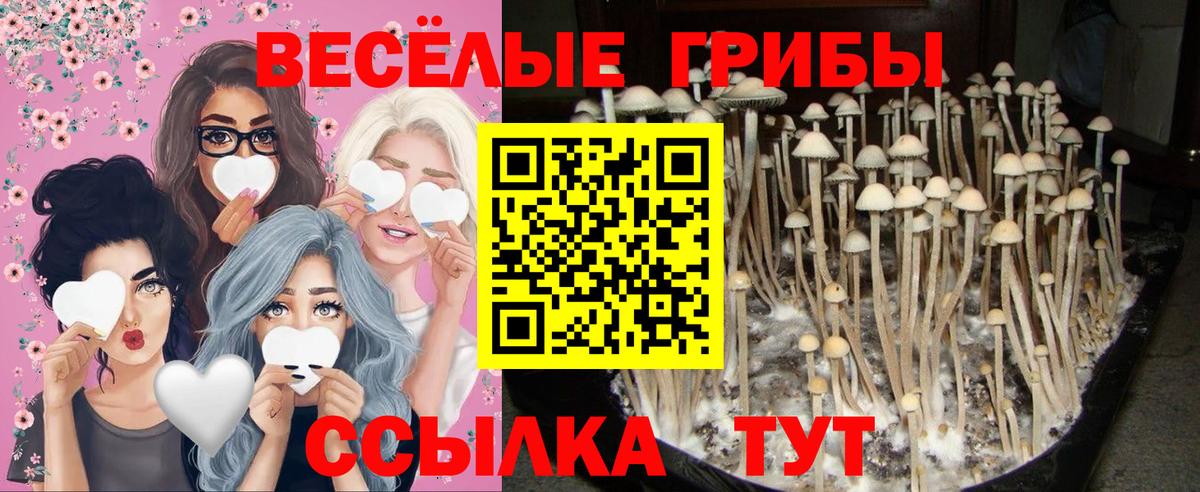 Ухта  Галлюциногенные грибы мицелий  Вход с VPN  Галлюциногенные грибы мицелий 
